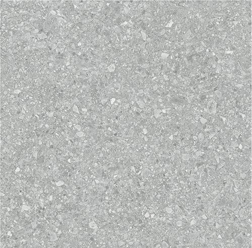 DITTO DARKGREY - ctmtrading.com